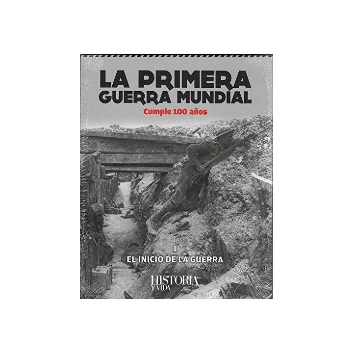 La Primera Guerra Mundial cumple 100 años. 1 EL INICIO DE LA GUERRA